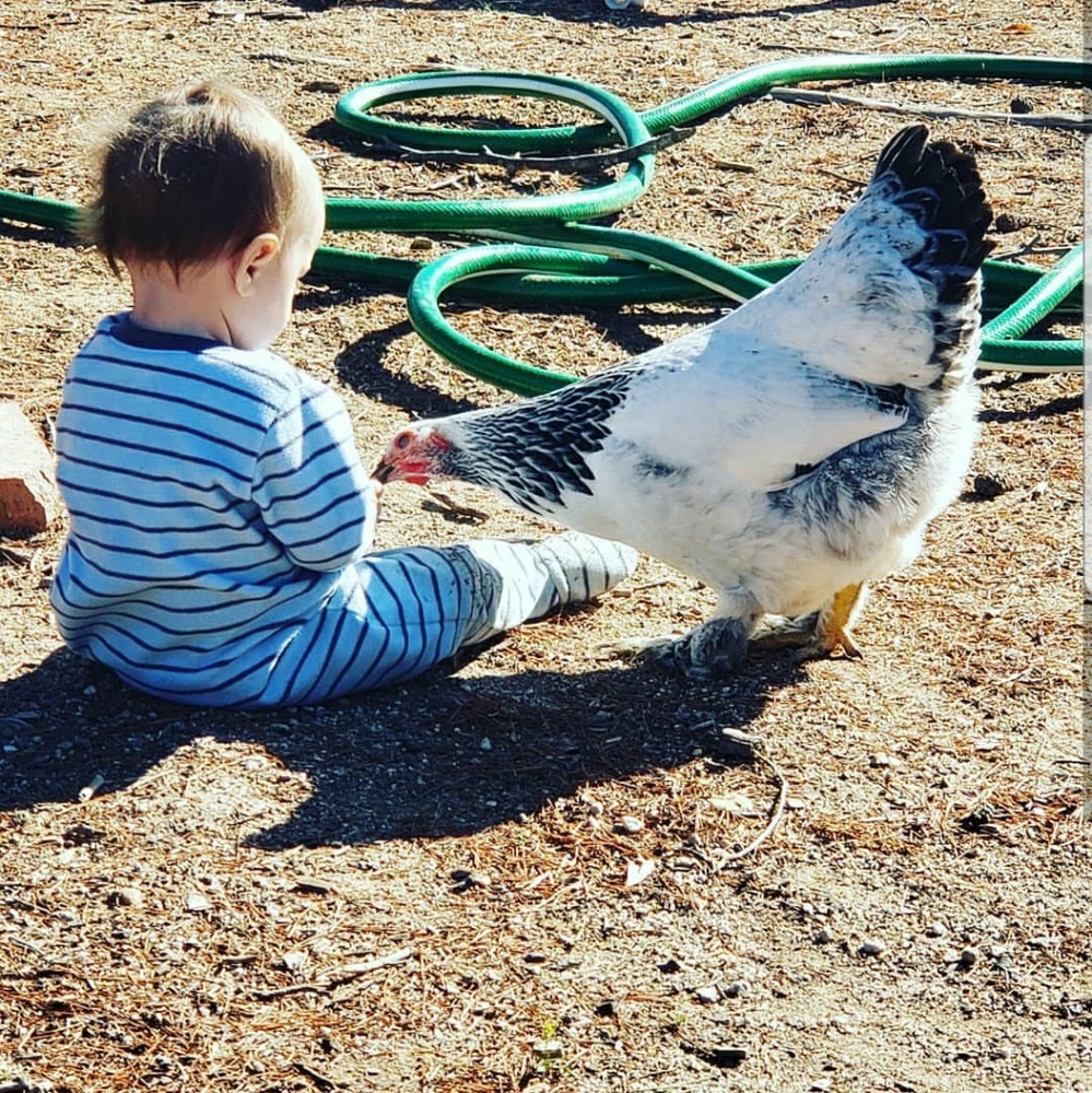 Meet your Posher, Crystal - Picture 9 of 16